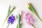 Pink and purple hyacinths and white and yellow tulips on light background.