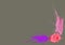 Pink and purple paint spot on Ultimate Gray background