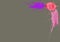 Pink and purple paint spot on Ultimate Gray background