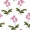 Pink purple phalaenopsis orchid flowers, buds, green leaves, stem. Botanical floral seamless pattern texture on white background.
