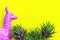 Pink purple toy llama head on yellow background