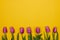 Pink, purple tulips on bottom on yellow background with copy space