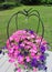 Pink and Purple Wave Petunia in Iron Hanger