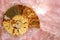 Pink quartz with amonyte fossil