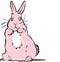 Pink rabbit