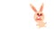 pink rabbit taken by surprise with head flipping like coin