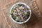 Pink radish sprouts in a bowl, top view