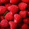 Pink raspberries, berries background. Healthy low calorie fruit razz