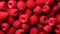 Pink raspberries, berries background. Healthy low calorie fruit razz