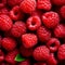 Pink raspberries, berries background. Healthy low calorie fruit razz