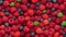 Pink raspberries, berries background. Healthy low calorie fruit razz