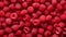 Pink raspberries, berries background. Healthy low calorie fruit razz