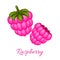 Pink raspberry logo vector icon