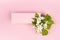 Pink rectangle blank card for text mockup with white apple tree flowers, green leaves fly on pastel pink background. Wedding.