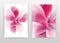 Pink red 3D flower concept design of annual report, brochure, flyer, poster. Pure clear flower petals background vector