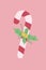 Pink and Red Cute and Playful Candy Cane with Garland Portrait Oval Laptop Sticker