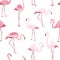 Pink red exotic flamingo birds seamless pattern