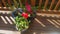 Pink and red geraniums and rosemary plant in blue ceramic pots on sunny wooden deck with slats