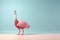 a pink and red ostrich standing on a blue background