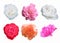 Pink, red, white, peach roses on white background with clipping