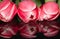 Pink. Reflection. Tulips. Flowers. Spring. Macro