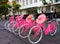 The pink rent bikes in the area of Jakarta Old Town, Kota Tua, Batavia, Indonesia