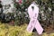 Pink Ribbon