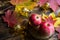 Pink ripe apples on a wooden table with fallen yellow and red maple leaves. Lights of garlands, warm and cozy autumn atmosphere, t