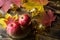 Pink ripe apples on a wooden table with fallen yellow and red maple leaves. Lights of garlands, warm and cozy autumn atmosphere, t