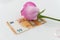 a pink rose as a gift with a euro banknote