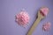 Pink rose bath salt with wooden spoon on lilac background. Aroma spa concept. Aromatherapy.