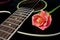 Pink rose and black acoustic guitar.