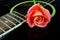 Pink rose and black acoustic guitar.
