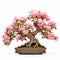 Pink Rose Bonsai: Serene Atmosphere With Balanced Proportions