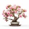 Pink Rose Bonsai Tree: Innovative Large Format Lens Photography