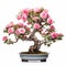 Pink Rose Bonsai Tree: Timeless Artistry In Erik Jones Style