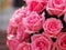 Pink rose flower arrangement Beautiful bouquet on blurred of background symbol love Valentine Day