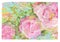 Pink Rose flower bouquet. Art Watercolor and Acrylic smear brushstroke blots. Interior abstract texture color stain background