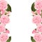 Pink Rose Flower Frame Border. isolated on White Background. Vector Illustration