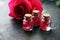 Pink rose flower and glass of bottle essential oil. spa and aromatherapy cosmetic concept