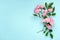Pink rose flowers on blue background. Framework, flower composition. Flat lay. Top view. Copy space