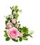 Pink rose flowers and green Helleborus viridis in corner romantic arrangement isolated on white