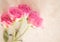 Pink Rose Marble Collage Background