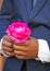 A pink rose for me