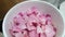 Pink rose pedal in white porcelain bowl
