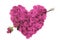 Pink Rose Petal Heart with arrow