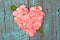 Pink rose petal heart with fern leaf