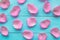 Pink rose petals on blue wooden background. Valentine or wedding abstract background.