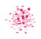 Pink rose petals pile vector design set.