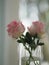 pink rose romance beautiful Flower symbol Love